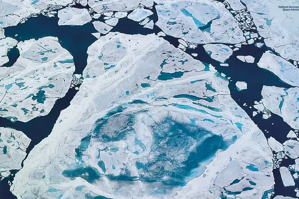 Vanishing Arctic Ice and Suffocating Mangroves Reshape Global