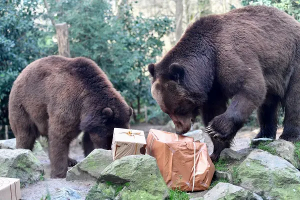 Bears Tighten Grip on Wall Street