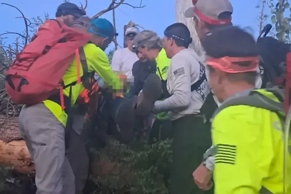 Cellphone Ping Helps Rescuers Find 83-Year-Old Near Grand Canyon
