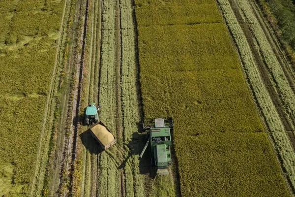 China Pushes Private Firms to Join Rural Growth Drive