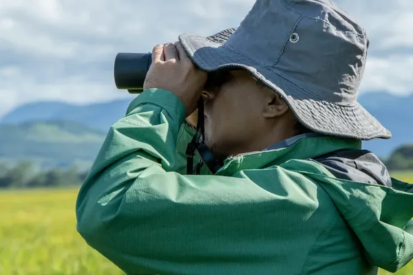 Citizen Science Initiatives Improve Mental Health Scores