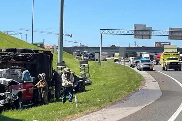 Commercial Truck Crash Releases Million Bees on Interstate