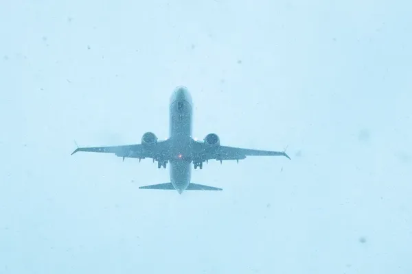 Donald Trump Signals Support for Major Airline Mergers
