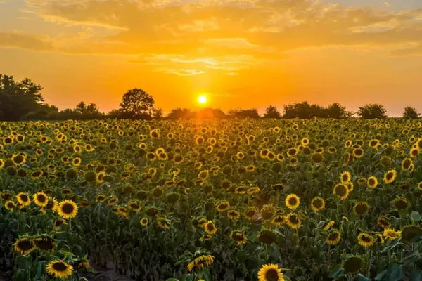 England's Heat Death Estimate Fell Below Modelled Level