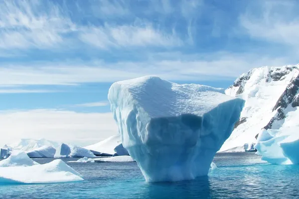 Family Fulfills Final Wish with Journey to Antarctica