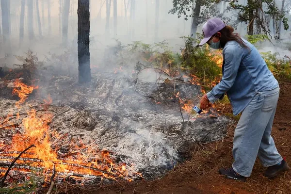 France Sends 1,500 Troops as Wildfire Evacuations Reach 267,000