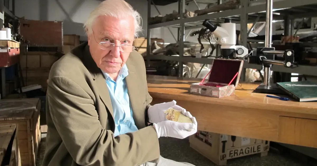 Global Tributes Pour In for David Attenborough at 100