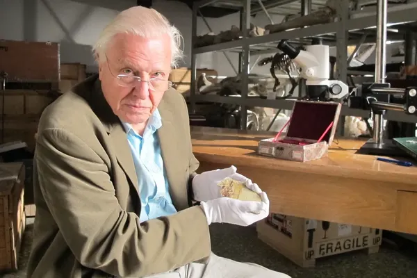 Global Tributes Pour In for David Attenborough at 100