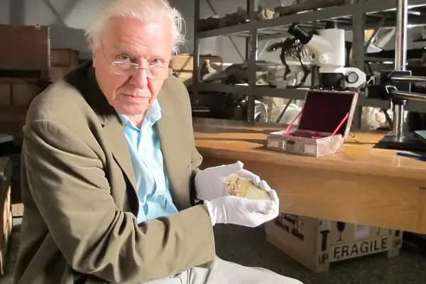 Global Tributes Pour In for David Attenborough at 100