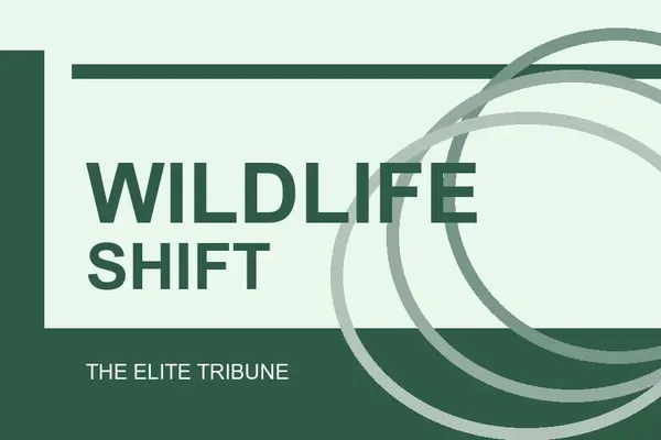 Green Groups Accuse Australia of Weakening Nature Protections