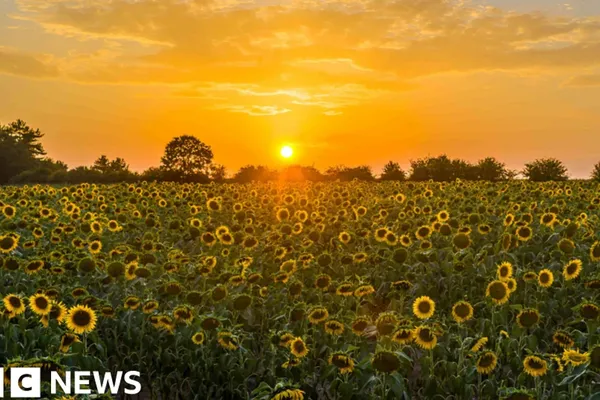 Heat-Related Deaths in Britain Fell During Record 2025