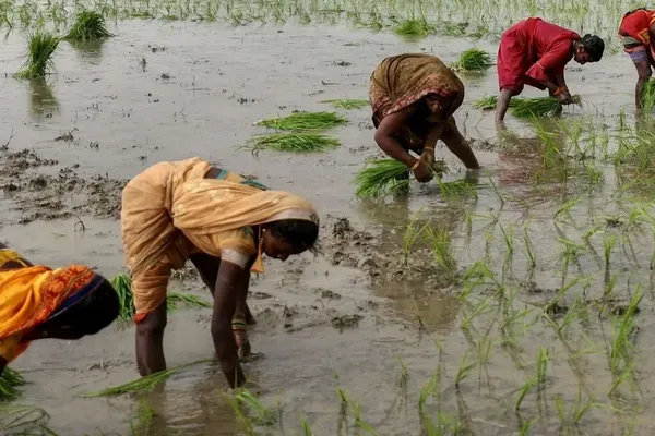 India Forecasts Below Normal Monsoon Rains
