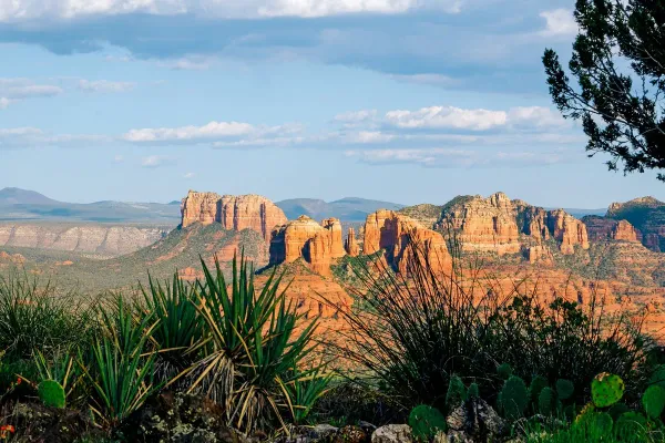 Solo Travelers Drive Record Demand for US Coastal and Desert