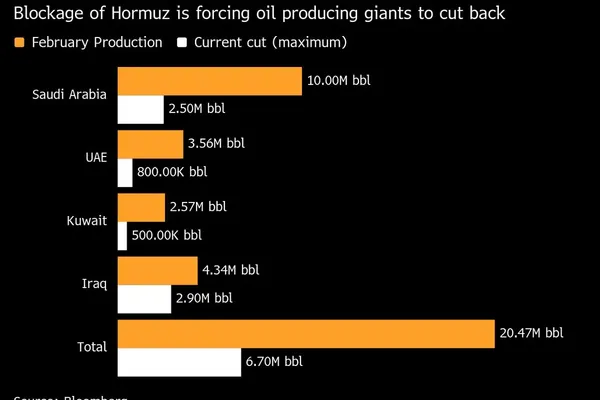 International Energy Agency Proposes Record Oil Reserve Release