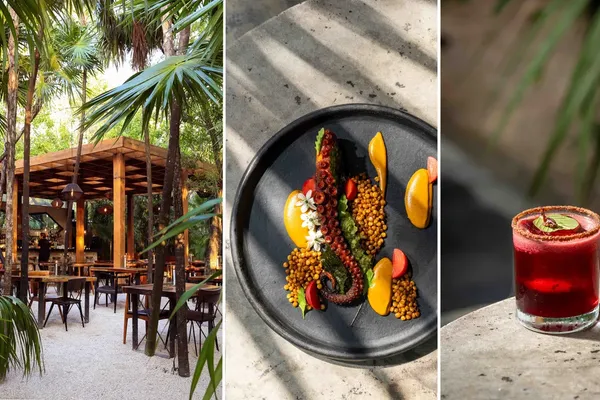 Tulum Balances Global Wealth With Fragile Jungle Ecology