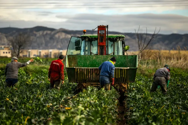 Iranian Conflict Drives Global Food and Energy Prices