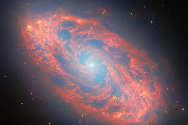 Webb Telescope Identifies Ancient Messenger From Deep Space