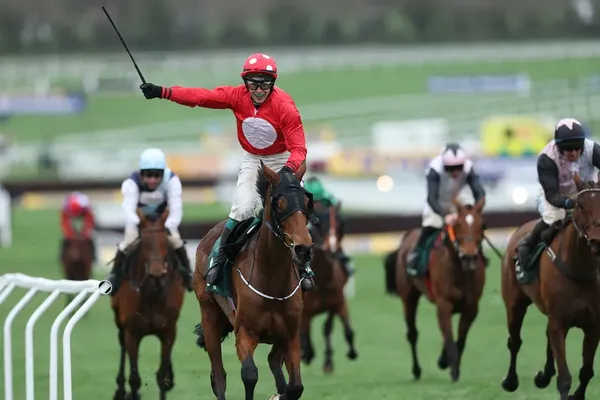 Heart Wood Topples Jonbon to Secure Ryanair Chase Victory