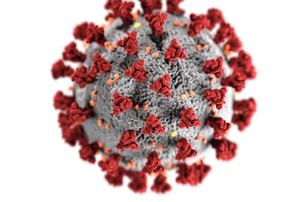 Kent Meningitis Outbreak Claims Second Fatality