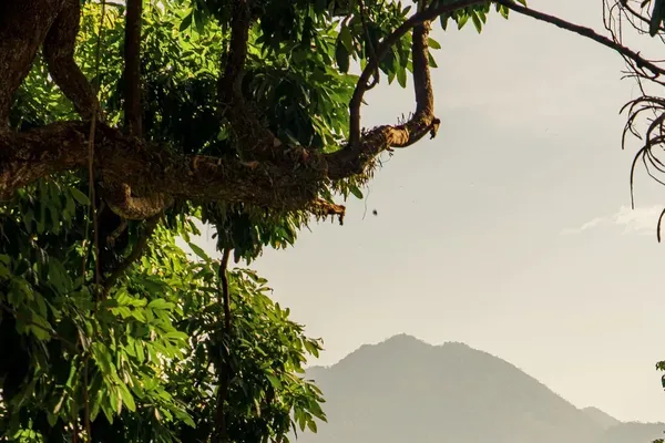 Laos Infrastructure Growth Reshapes Southeast Asia Travel