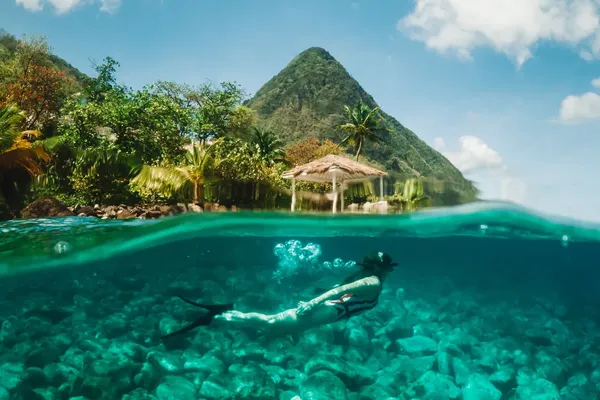 Luxury Hotels Shift Focus to Marine Conservation Tourism