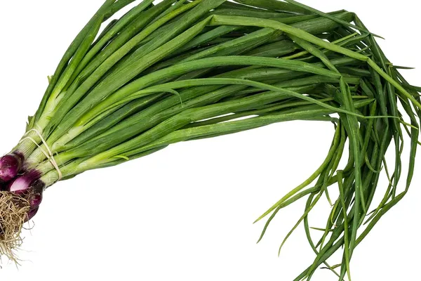 March Cooking Reclaims the Often Overlooked Spring Onion