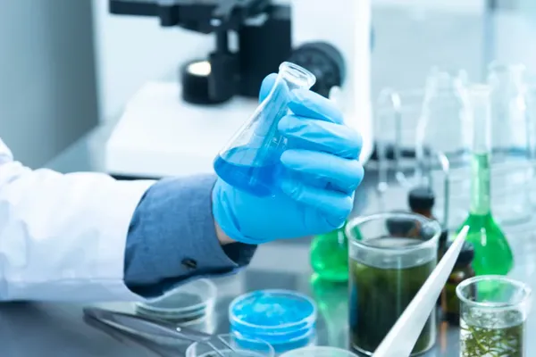 Molecular Handshakes Determine Protein Health in Cells