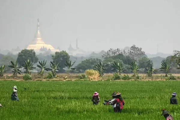 Myanmar Leads Southeast Asia Toward Widespread Food Crisis