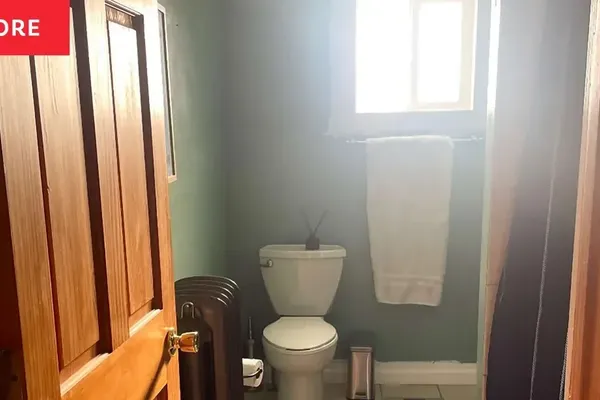 Natural Solvents Replace Commercial Toilet Cleaners in US
