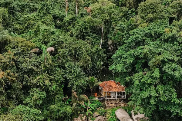 Paraty Artisans Reclaim Indigenous and African Roots
