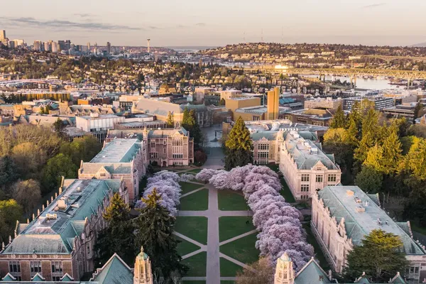 Peak Bloom Events Draw Millions to Seven US Cities