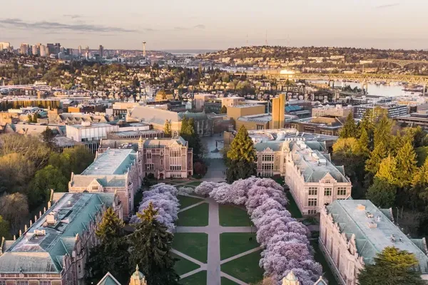 Peak Bloom Events Draw Millions to Seven US Cities