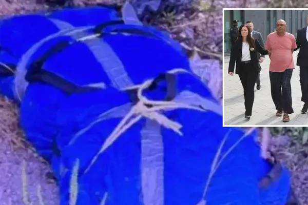 Domestic Homicide Cases Put Former NFL Player and Queens Husband in Court