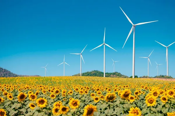 Renewable Investment Boom Puts Wildlife Risk Into Project Planning
