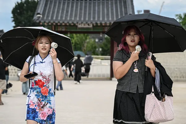 South Korea's 42.5C Record Triggers Emergency Activity Warning