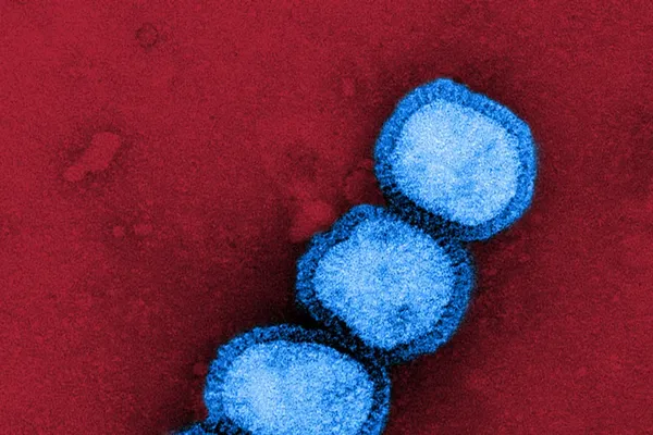 Spanish Researchers Identify Flu-Fighting Molecule in Skin