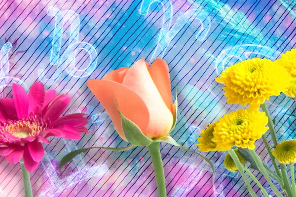Spring Equinox Reshapes Modern Spiritual and Home Rituals