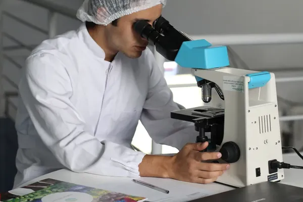 Stress Hormones Disrupt Internal Maps and Mental Focus