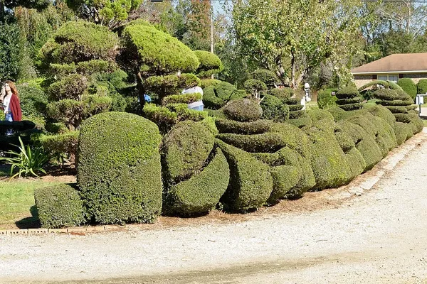 Topiary Artist Pearl Fryar Dies at 86 in South Carolina