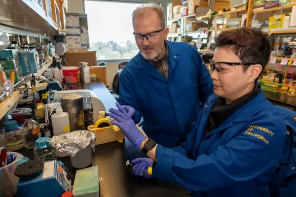 Gut Bacteria May Give Kidney Disease a New Target, Not a Shortcut