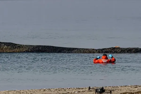 Teams Attempt to Free Humpback Whale from German Sandbank