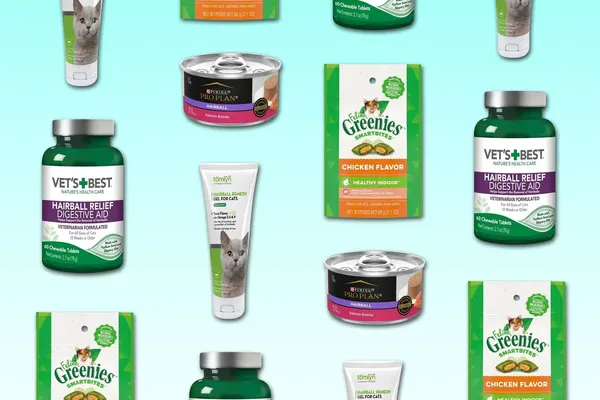 Veterinarians Endorse Specific Hairball Treatments for Cats