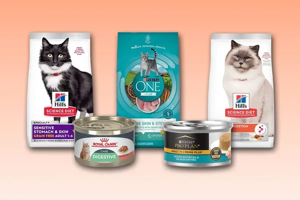 Veterinarians Rank Top Cat Foods for Sensitive Stomachs