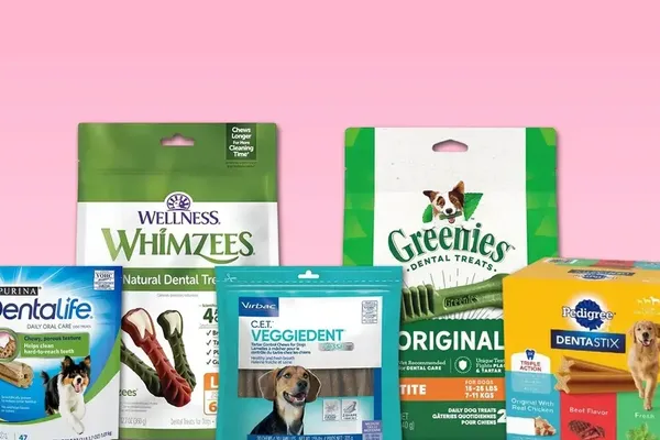 Veterinary Experts Rank Top Dog Dental Chews for 2026
