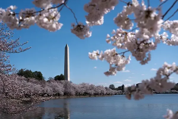 Washington Construction Projects Ignite Political Debate