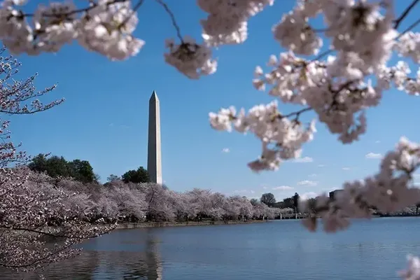 Washington Construction Projects Ignite Political Debate