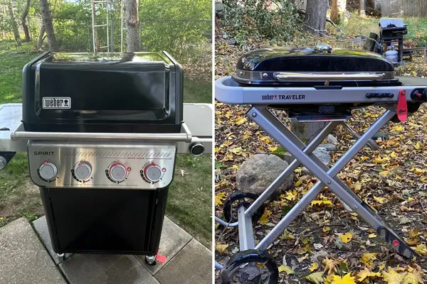 Weber and Chewy Guide Household Spending Decisions