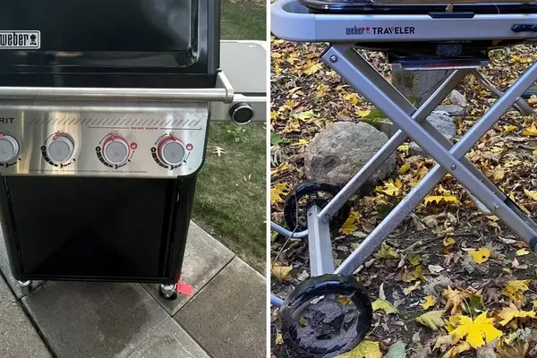 Weber and Chewy Guide Household Spending Decisions