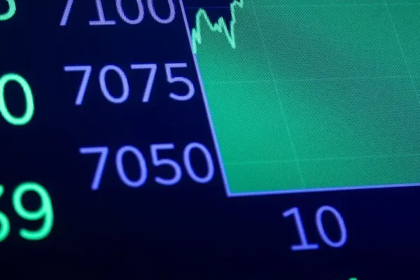 Wells Fargo Urged Investors to Buy YOLO Stocks Now