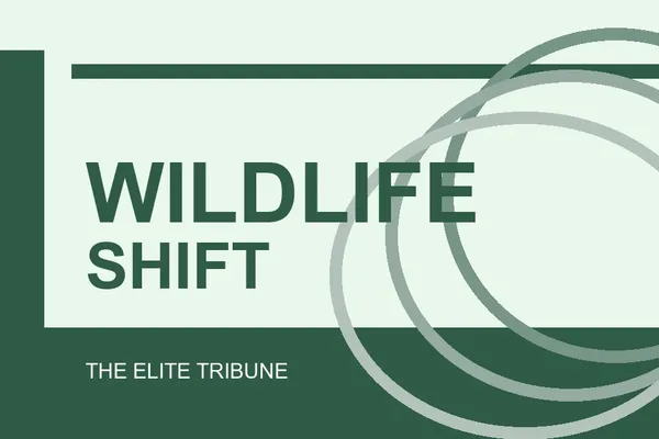 Wildlife Photography Documents Species Adapting